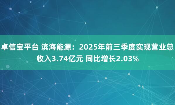 卓信宝平台 滨海能源：2025年前三季度实现营业总收入3.74亿元 同比增长2.03%