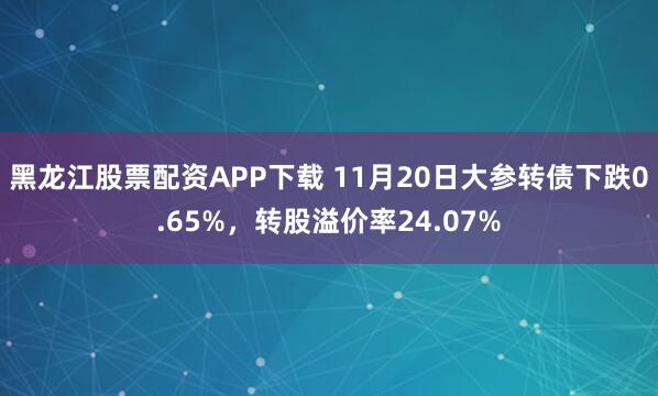 黑龙江股票配资APP下载 11月20日大参转债下跌0.65%，转股溢价率24.07%